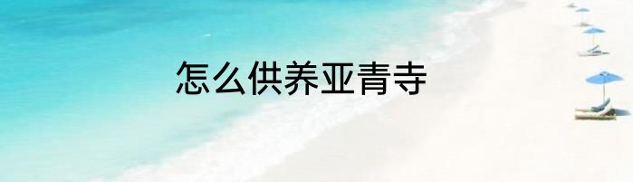 怎么供养亚青寺