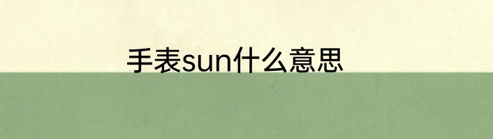 手表sun什么意思