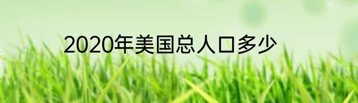 2020年美国总人口多少