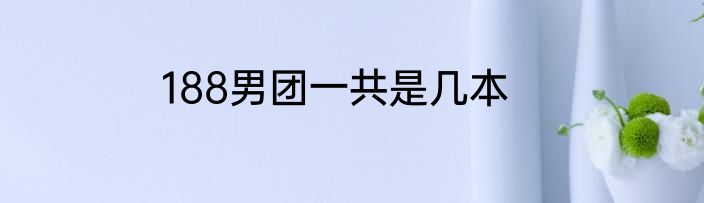 188男团一共是几本