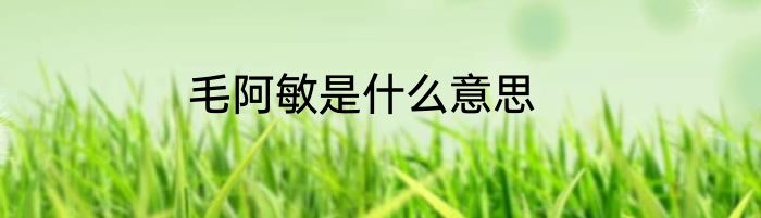 毛阿敏是什么意思