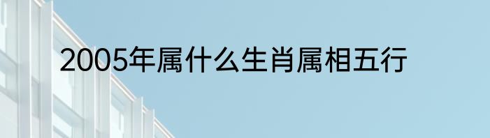 2005年属什么生肖属相五行