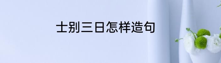 士别三日怎样造句