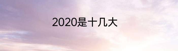 2020是十几大