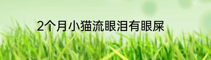 2个月小猫流眼泪有眼屎