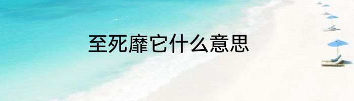 至死靡它什么意思