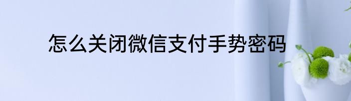 怎么关闭微信支付手势密码
