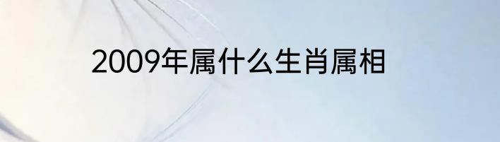 2009年属什么生肖属相