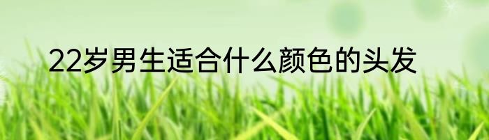 22岁男生适合什么颜色的头发