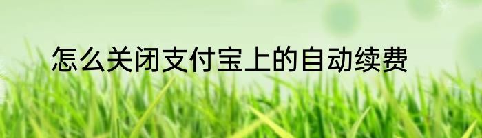 怎么关闭支付宝上的自动续费