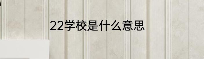 22学校是什么意思