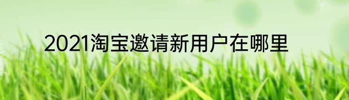 2021淘宝邀请新用户在哪里