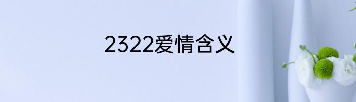 2322爱情含义
