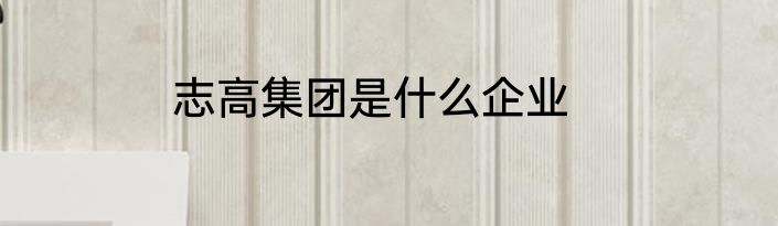 志高集团是什么企业