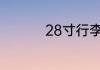 28寸行李箱能上飞机吗