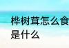 桦树茸怎么食用方法桦树茸食用方法是什么