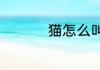猫怎么叫猫是怎么叫的
