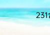 231含义是什么