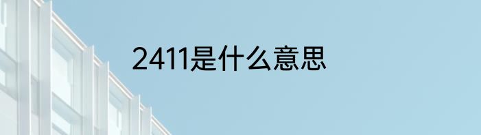 2411是什么意思