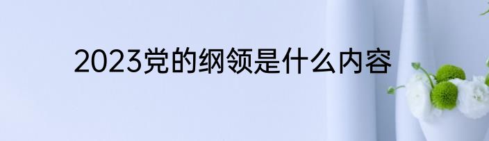 2023党的纲领是什么内容