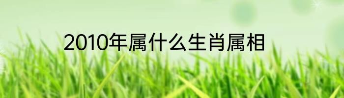 2010年属什么生肖属相