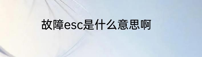 故障esc是什么意思啊