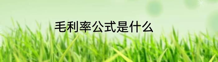 毛利率公式是什么