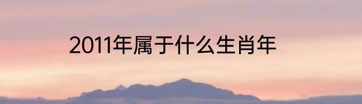 2011年属于什么生肖年