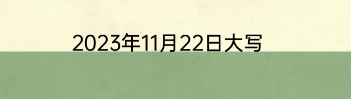 2023年11月22日大写