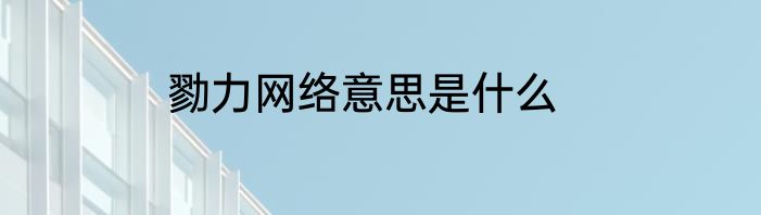 勠力网络意思是什么