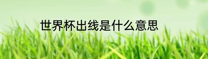 世界杯出线是什么意思