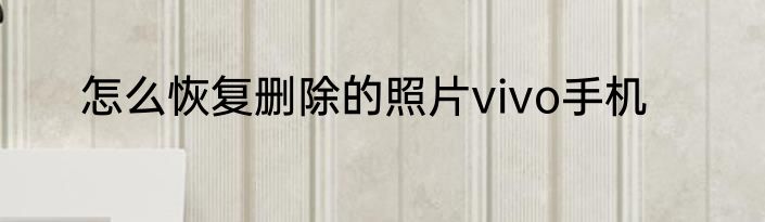怎么恢复删除的照片vivo手机