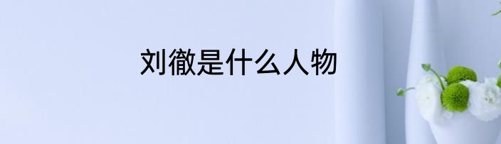 刘徹是什么人物