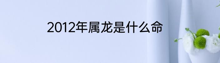2012年属龙是什么命