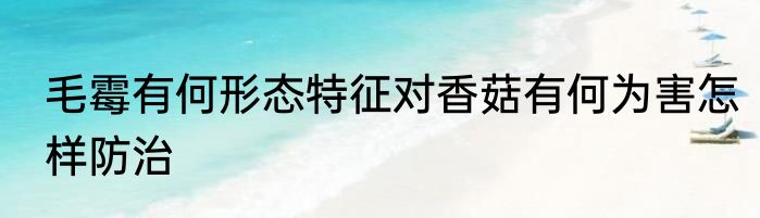 毛霉有何形态特征对香菇有何为害怎样防治