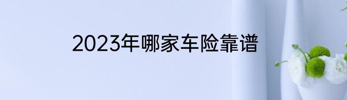 2023年哪家车险靠谱