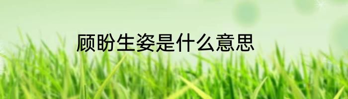 顾盼生姿是什么意思