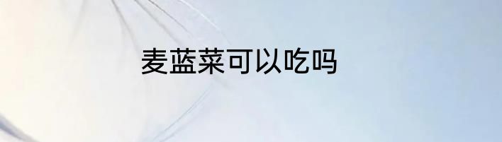 麦蓝菜可以吃吗