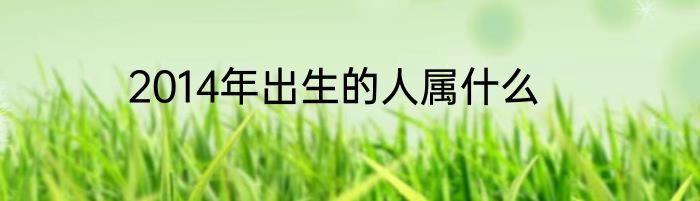 2014年出生的人属什么
