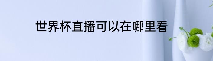 世界杯直播可以在哪里看