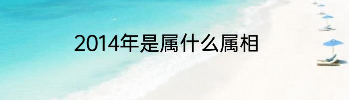 2014年是属什么属相
