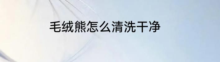 毛绒熊怎么清洗干净