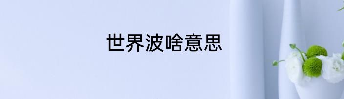 世界波啥意思