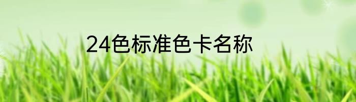 24色标准色卡名称