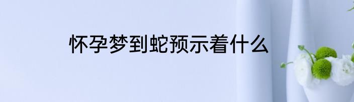 怀孕梦到蛇预示着什么