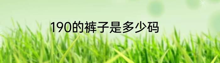 190的裤子是多少码