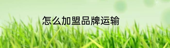 怎么加盟品牌运输