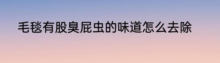 毛毯有股臭屁虫的味道怎么去除