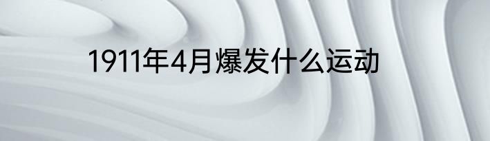 1911年4月爆发什么运动
