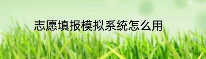 志愿填报模拟系统怎么用